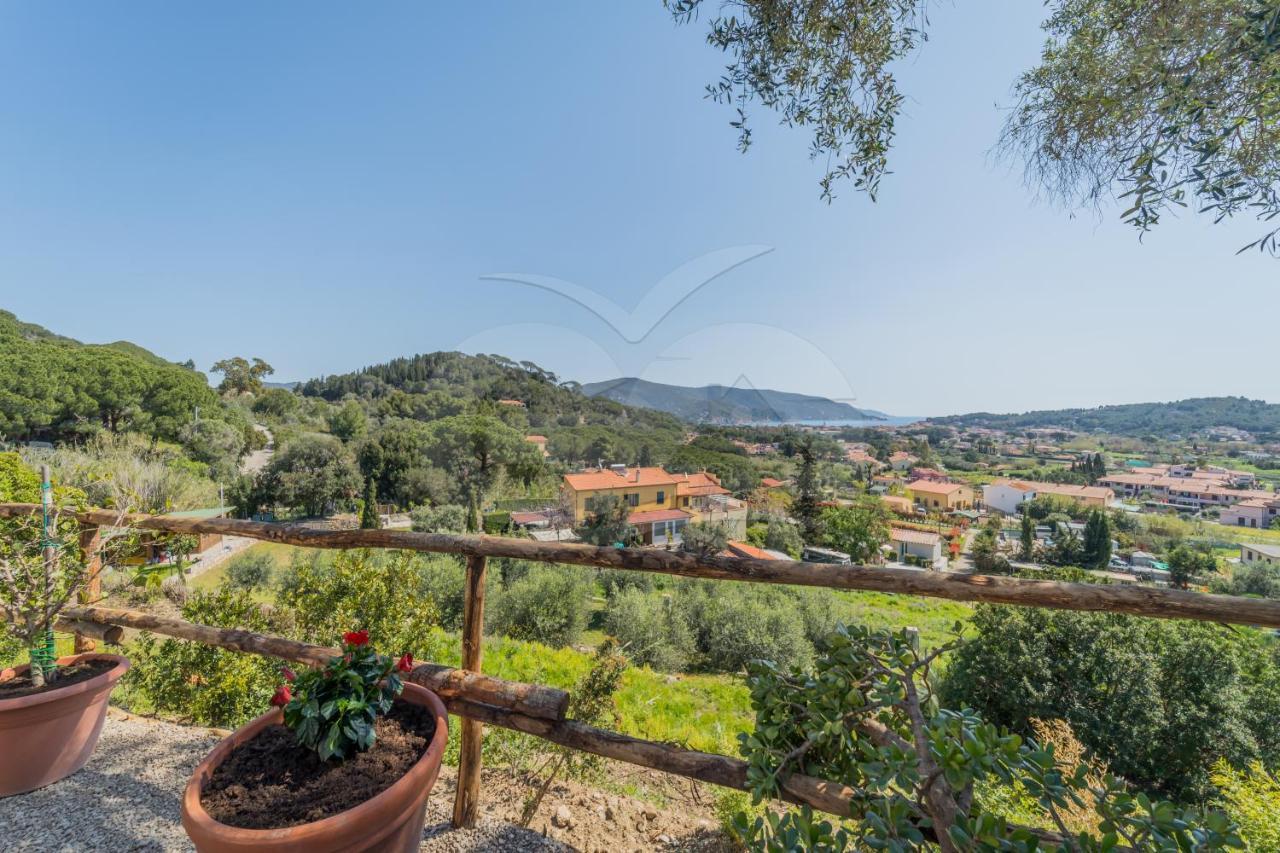 La Palazzina Nel Verde - Goelba Casa Alzi ภายนอก รูปภาพ