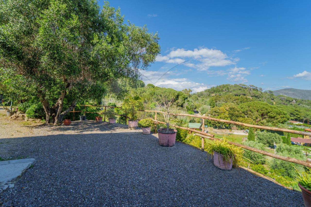 La Palazzina Nel Verde - Goelba Casa Alzi ภายนอก รูปภาพ